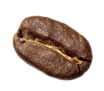 rolling coffee bean